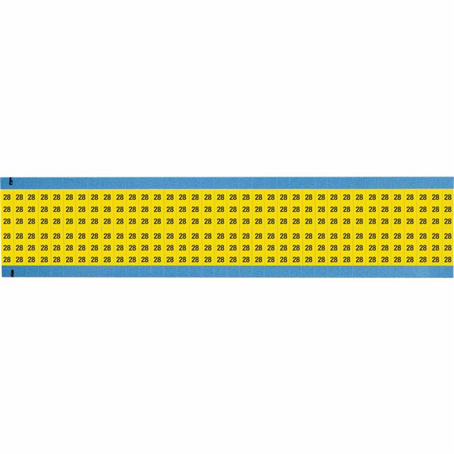 WM-28-YL-SC-PK